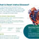 Different Types of Heart Valve Diseases
