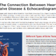 Understanding Your Echocardiogram Results (English)