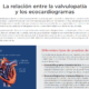 Understanding Your Echocardiogram Results (Spanish)